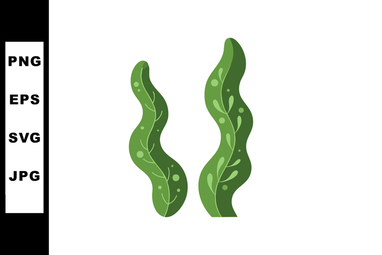 Seaweed Illustration Image 19