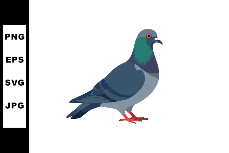Pigeon Clipart Image 2