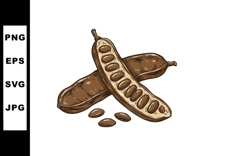 Seed Clipart Image 3