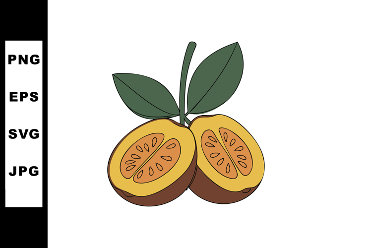 Fruit Vector Image 23