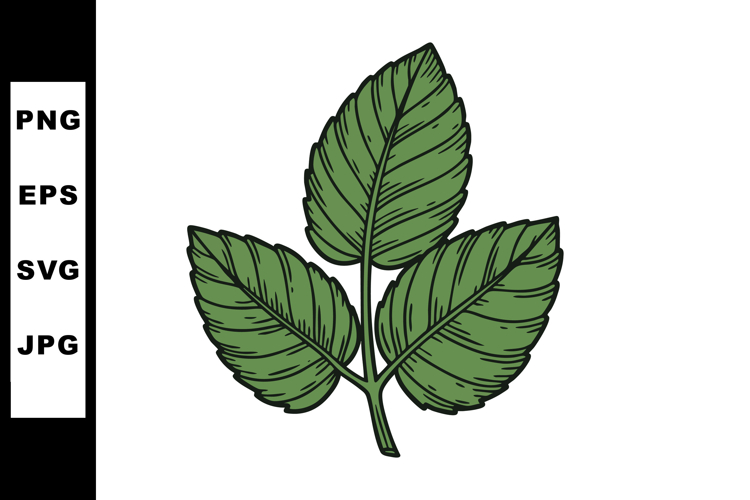 Nature Illustration Image 16