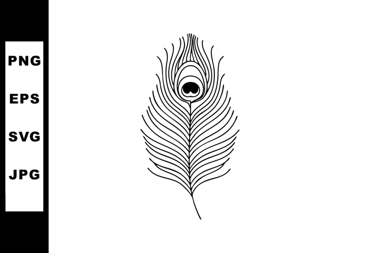 Peacock Clipart