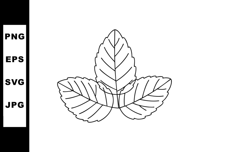 Outline Leaf Clipart Image 18