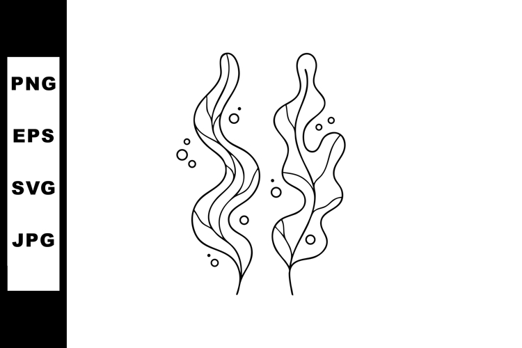 Seaweed Illustration Image 24