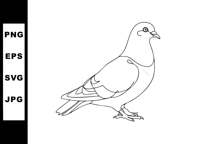 Pigeon Clipart