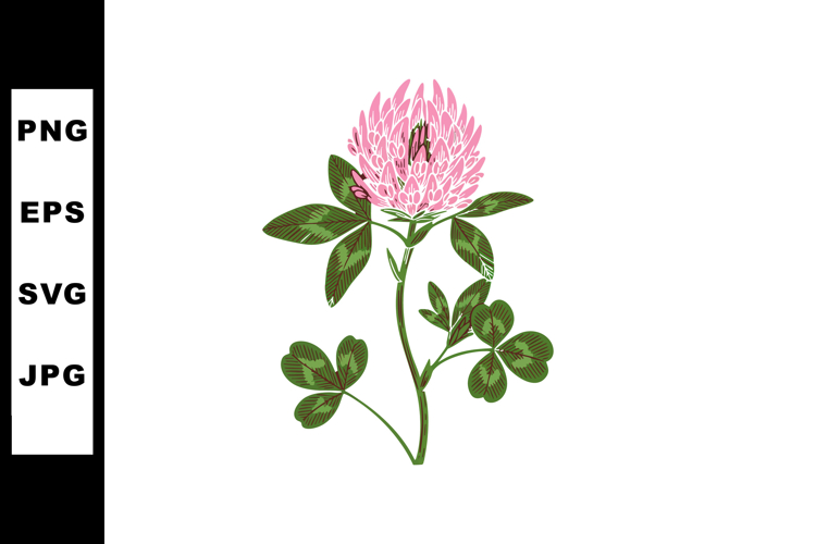 Flower Sublimation Image 9
