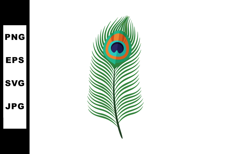 Feather Illustration Image 12