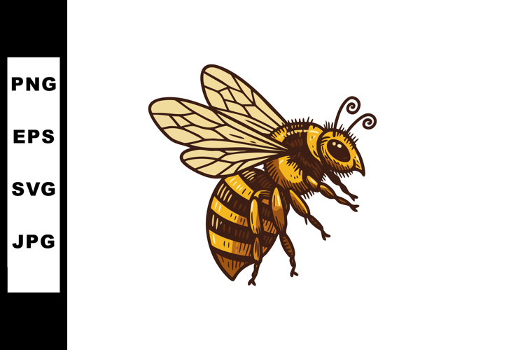 Honeybee Clipart Image 3