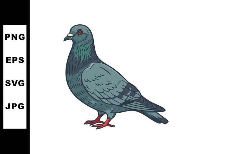 Pigeon Clipart Image 4