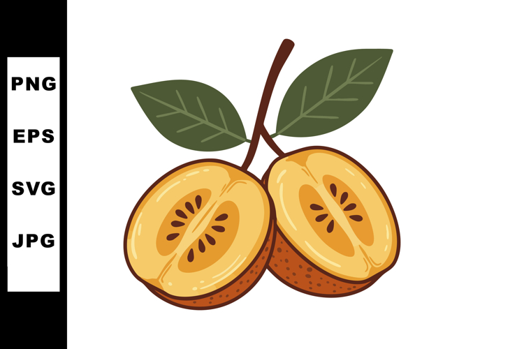 Fruit Vector Image 8