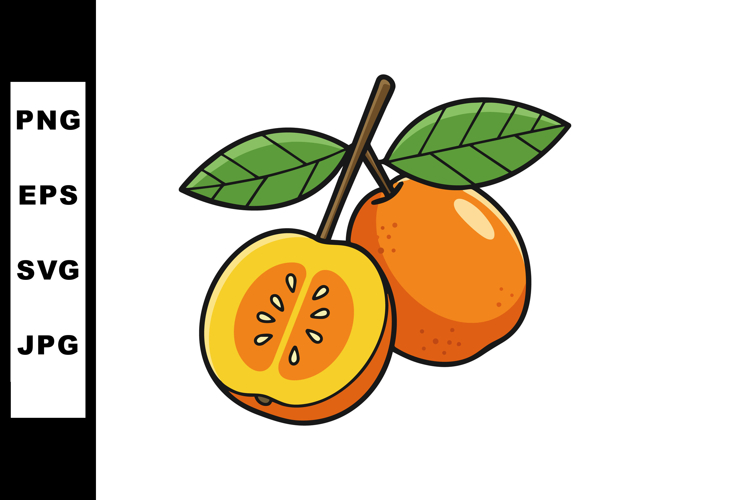 Orange Fruit with Green Leaves Vector Illustration in Bright