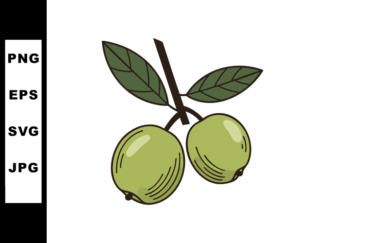 Olive branch with two green olives vector illustration in si