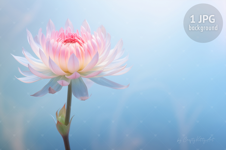 Nature Background Image 10