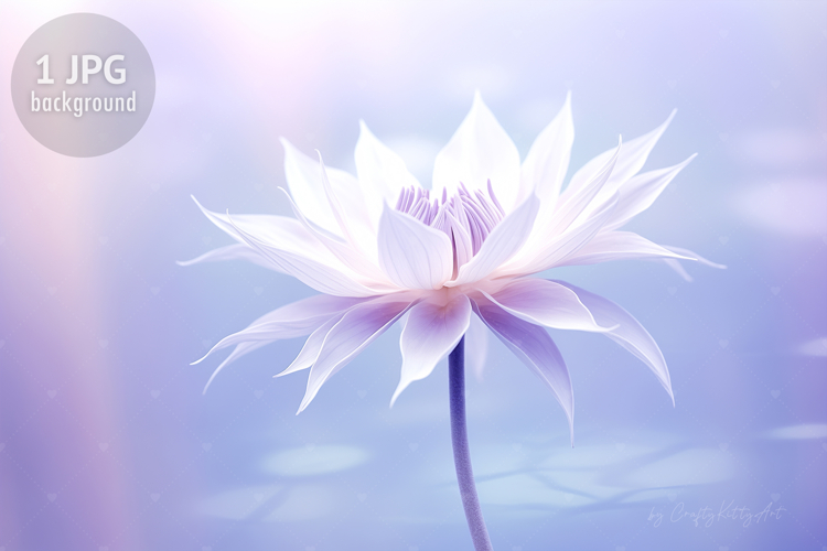 Nature Background Image 17