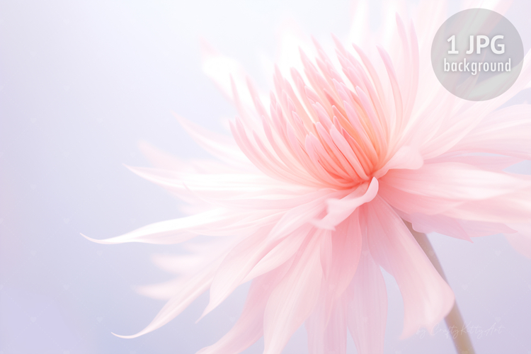 Nature Background Image 18