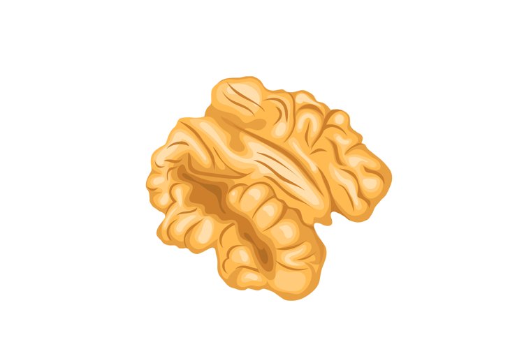 Seed Clipart Image 10