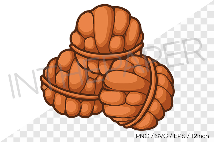 Sweet walnut shaped cake hodu PNG SVG clipart korean food