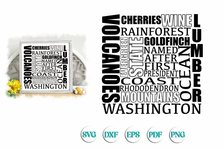 Washington Subway SVG