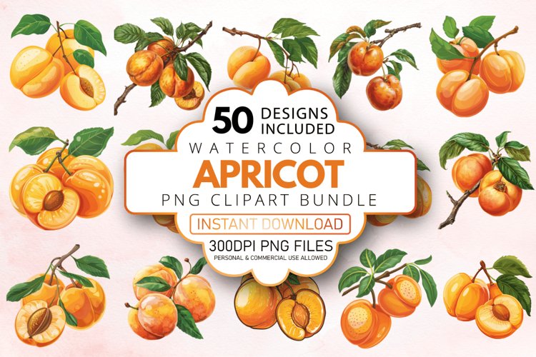 Watercolor Apricot Clipart Bundle