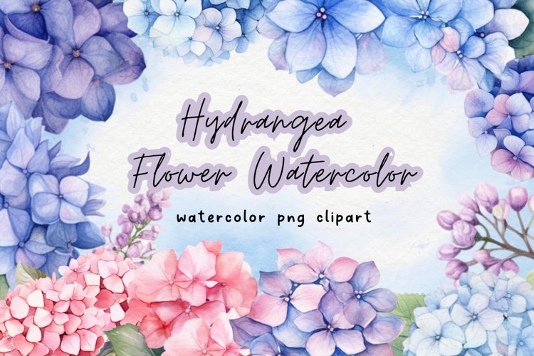 Hydrangea Flower Watercolor Clipart Png