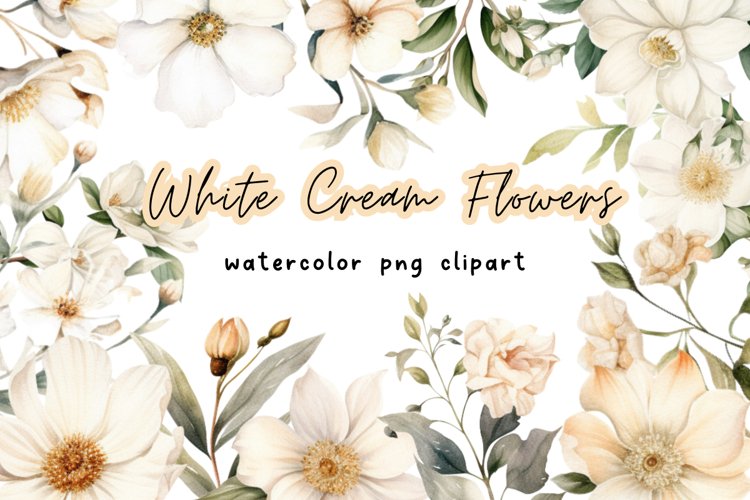 White Cream Watercolor Flower PNG example image 1