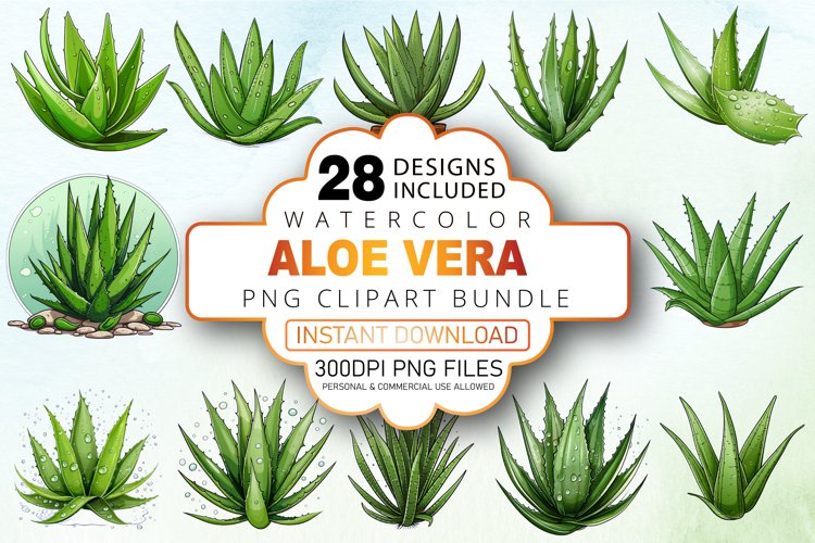 Watercolor Succulent Clipart Image 12