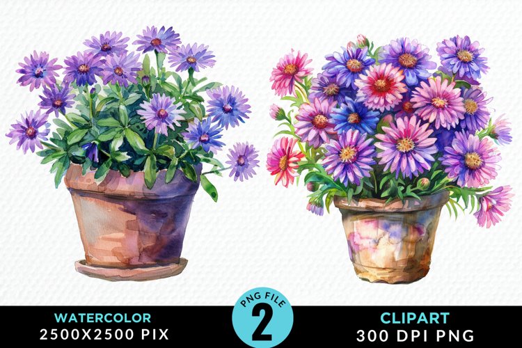 Watercolor Asters Pot Graphics Clipart