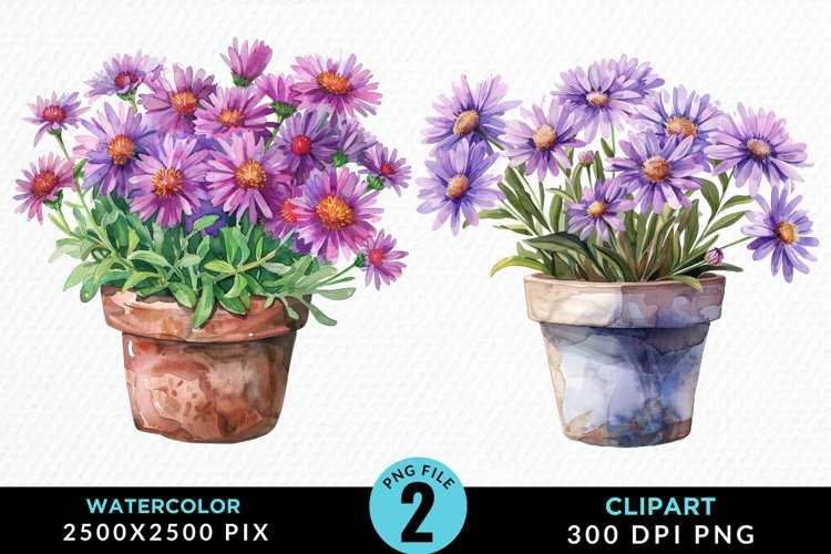 Watercolor Asters Pot Graphics Clipart example image 1