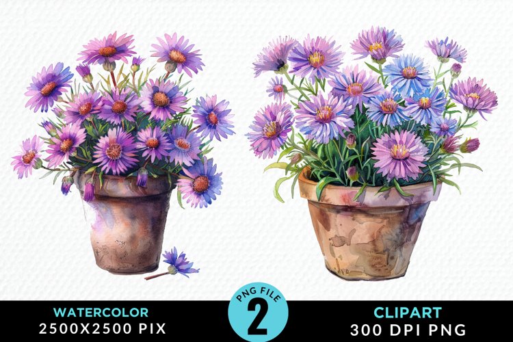 Watercolor Asters Pot Graphics Clipart