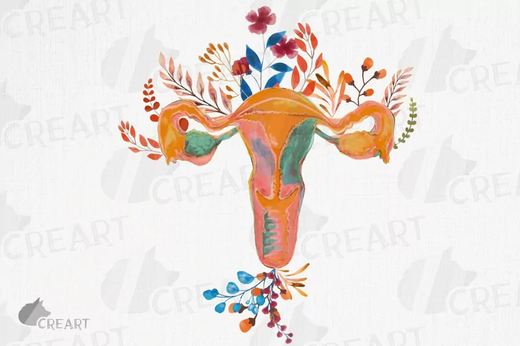 Blooming anatomical woman reproductive system autumn graphic
