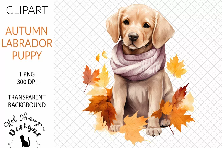 Watercolor Labrador Puppy #3 | Clipart | Sublimation