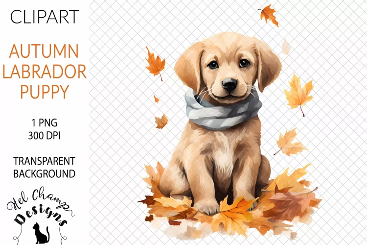 Watercolor Labrador Puppy #1 | Clipart | Sublimation
