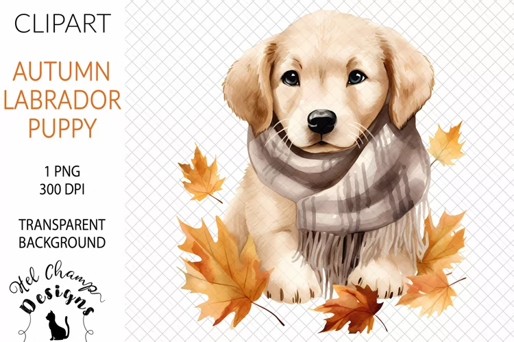 Watercolor Labrador Puppy #2 | Clipart | Sublimation