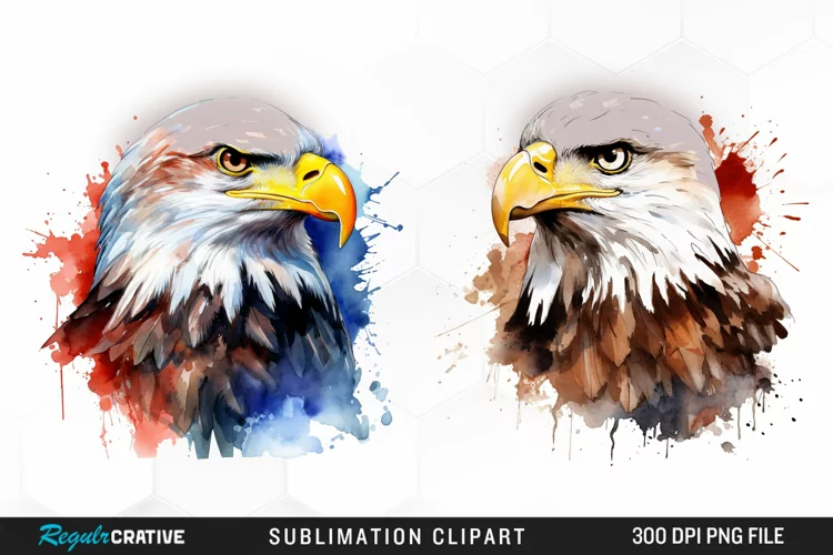 Watercolor Bald Eagle PNG Clipart