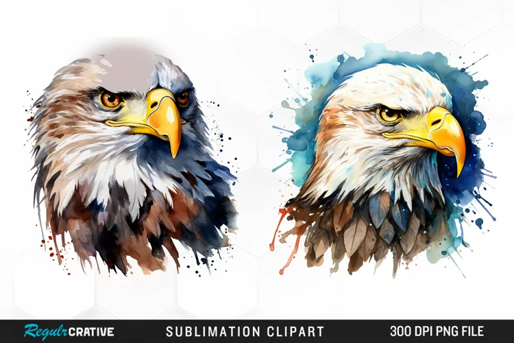 Watercolor Bald Eagle Design Clipart
