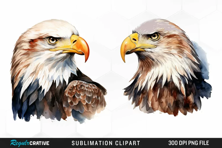 Watercolor Bald Eagle Sublimation Art Clipart