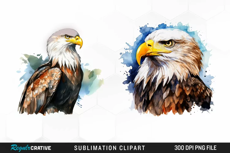 Watercolor Bald Eagle Fun Clipart