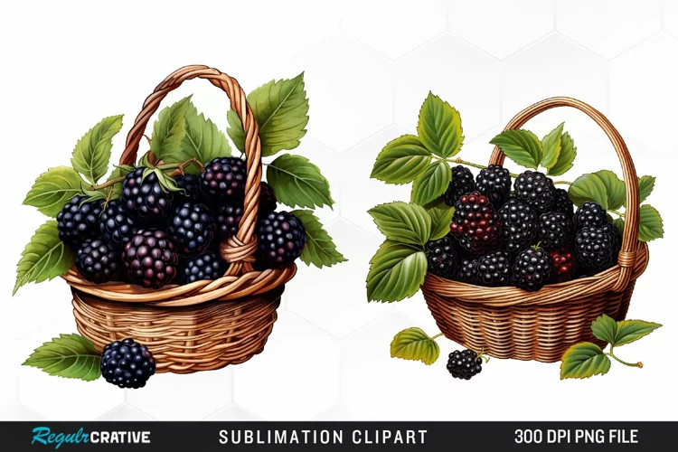 Watercolor Basket Blackberry Graphics Clipart
