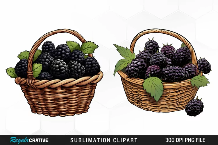 Watercolor Basket Blackberry Graphics Clipart