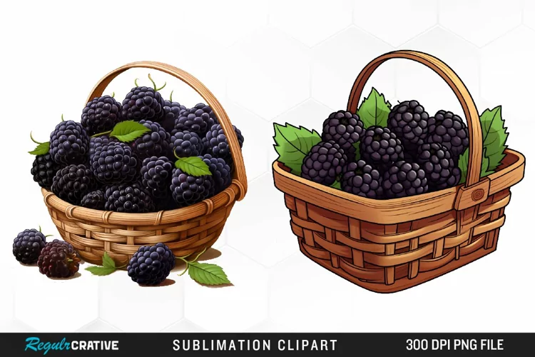 Watercolor Basket Blackberry Graphics Clipart