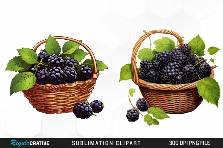 Watercolor Basket Blackberry Graphics Clipart