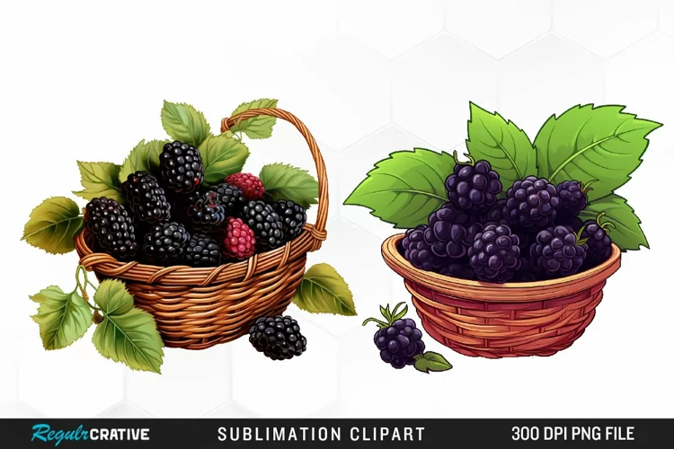 Watercolor Basket Blackberry Graphics Clipart