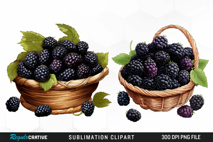 Watercolor Basket Blackberry Graphics Clipart