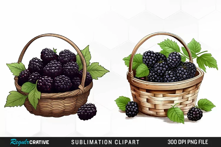 Watercolor Basket Blackberry Graphics Clipart