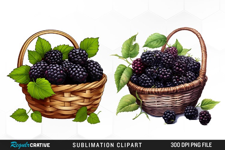 Blackberry Illustration Image 18