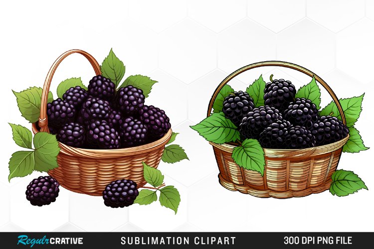 Blackberry Illustration Image 17