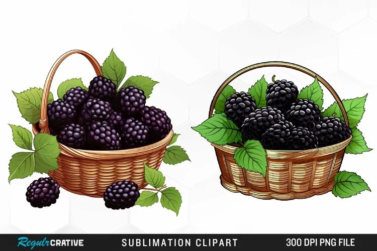 Watercolor Basket Blackberry Graphics Clipart