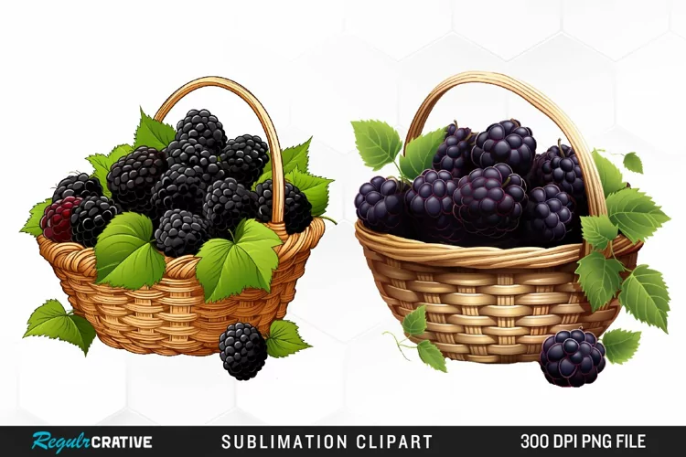 Watercolor Basket Blackberry Graphics Clipart