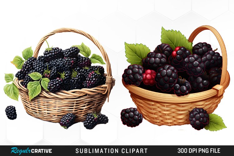 Blackberry Clipart Image 24