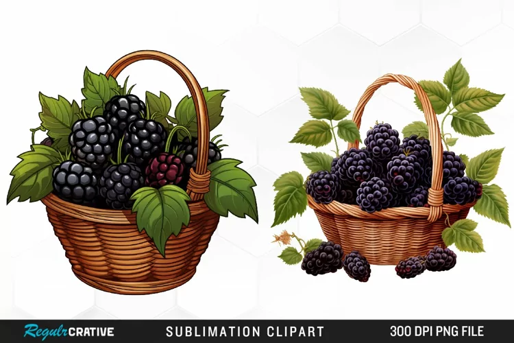 Watercolor Basket Blackberry Graphics Clipart